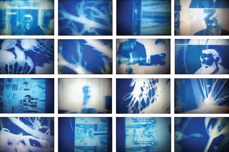 Cyanotype on Film Workshop