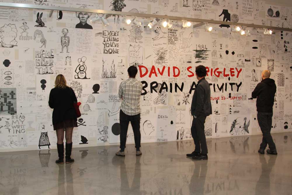 David Shrigley: Brain Activity