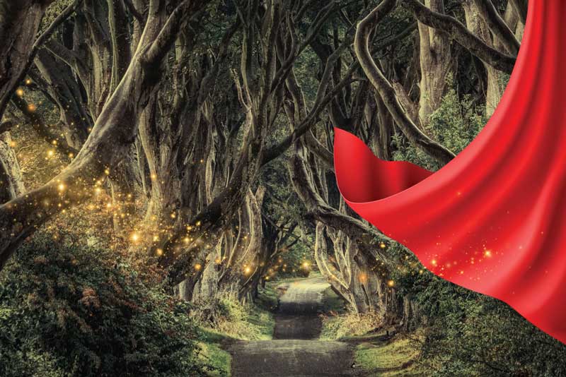 Into the Woods