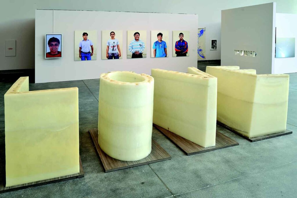 The Matter Within: New Contemporary Art of India