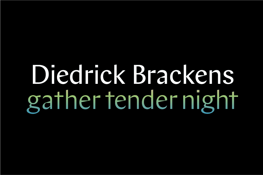 Diedrick Brackens: gather tender night